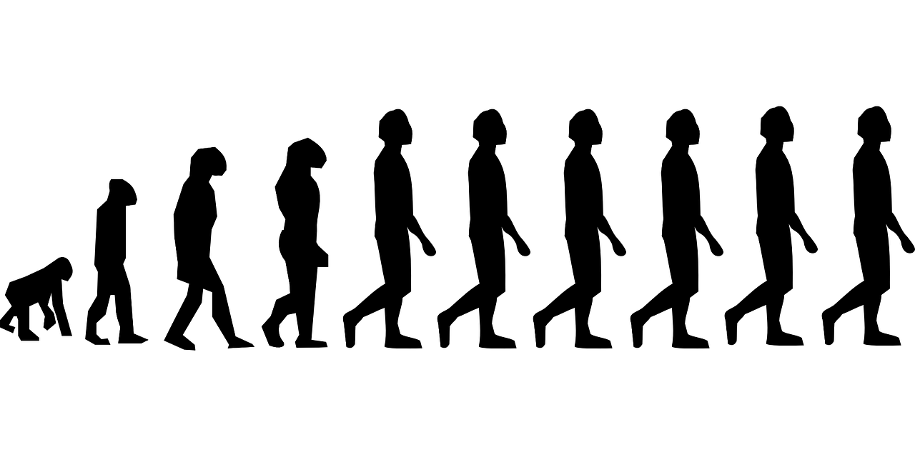 evolución ser humano en la Historia