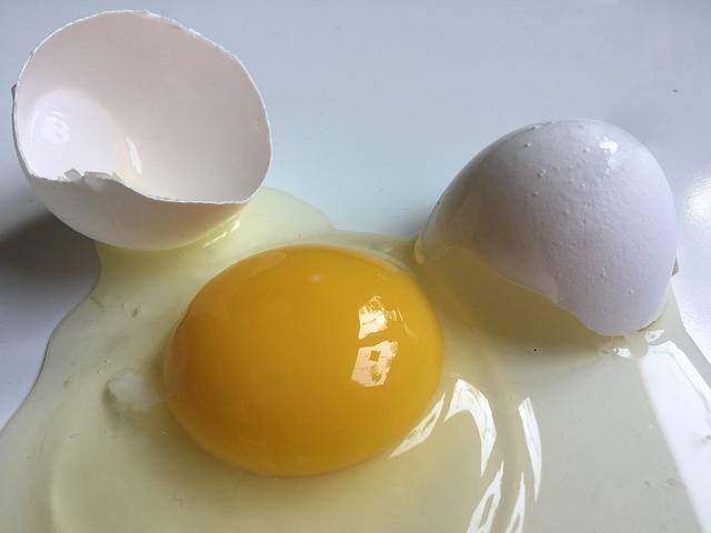 claras de huevo